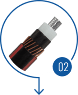 Medium Voltage Cables